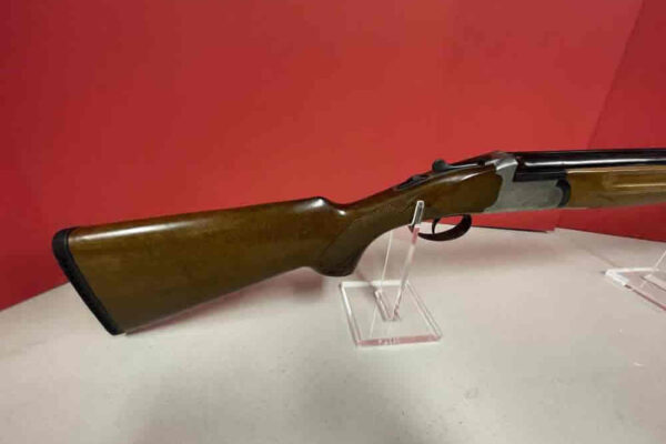 auction-8-13-22-623