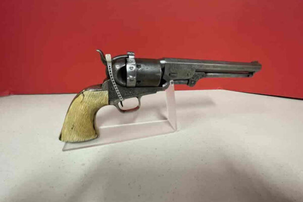auction-8-13-22-631