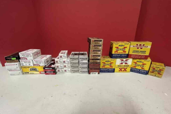auction-8-13-22-662