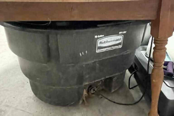 auction-8-13-22-919