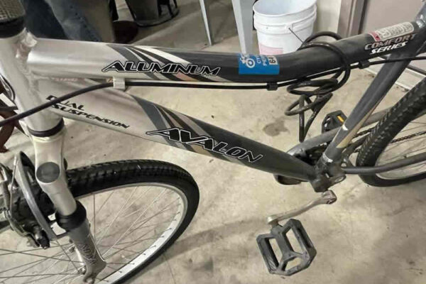 auction-8-13-22-924