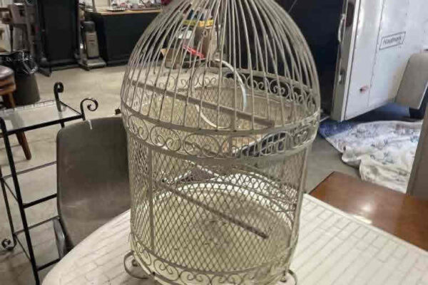 auction-8-13-22-936