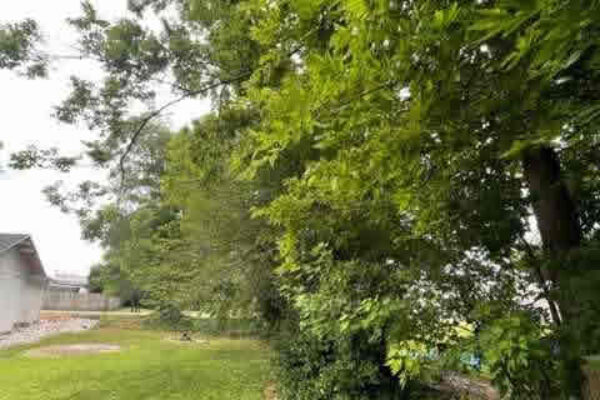 auction-8-6-22-232