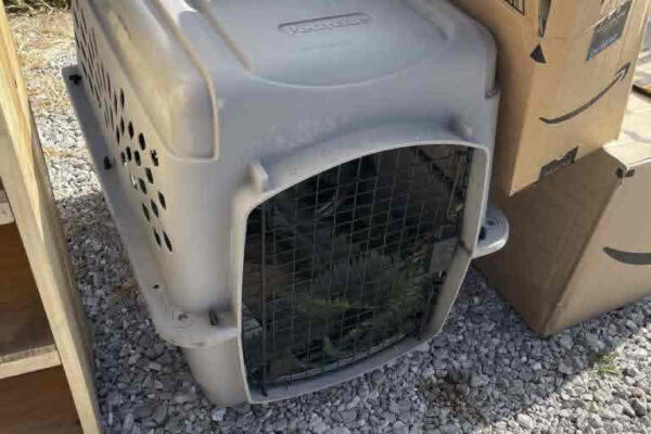 auction-8-6-22-319