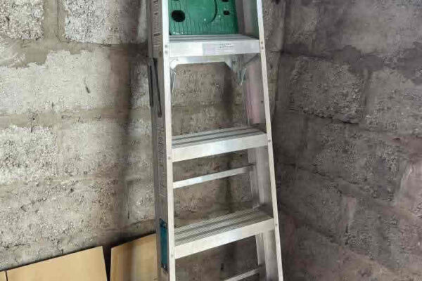 auction-8-6-22-364