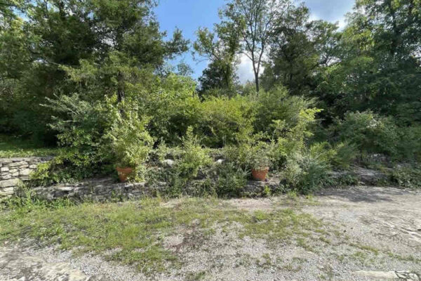 auction-9-26-22-371