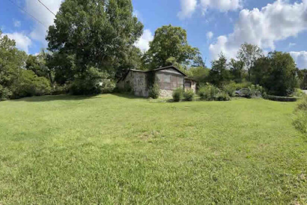 auction-9-26-22-373