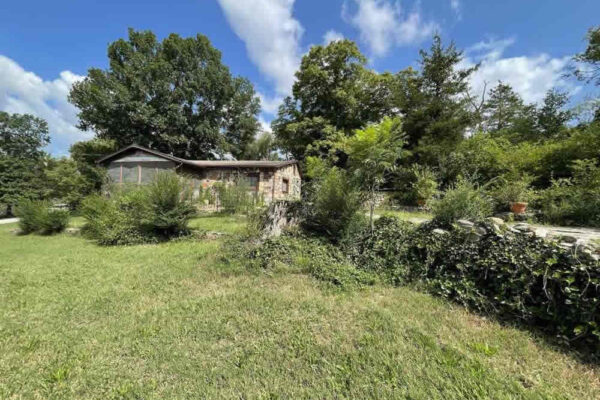 auction-9-26-22-378