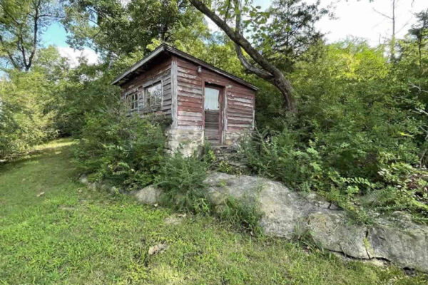 auction-9-26-22-381