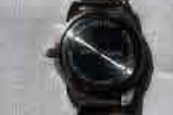 auction-9-26-22-639