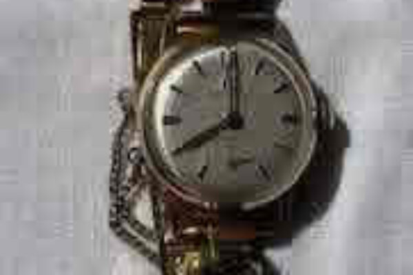auction-9-26-22-641